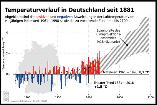 Wie können nachhaltige Lösungen zum Erhalt unserer Grünflächen aussehen?