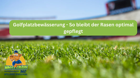 Golfplatzbewässerung - So bleibt der Rasen optimal gepflegt