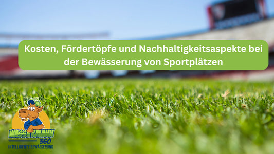 Kosten, Fördertöpfe und Nachhaltigkeitsaspekte bei der Bewässerung von Sportplätzen