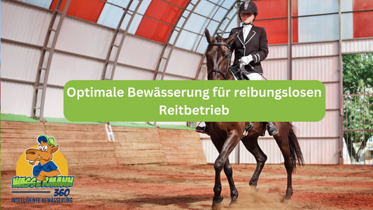 Optimale Bewässerung für reibungslosen Reitbetrieb