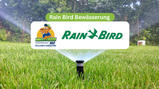 Rain Bird Bewässerung: Optimale Lösungen für kleine Gärten und Grünflächen