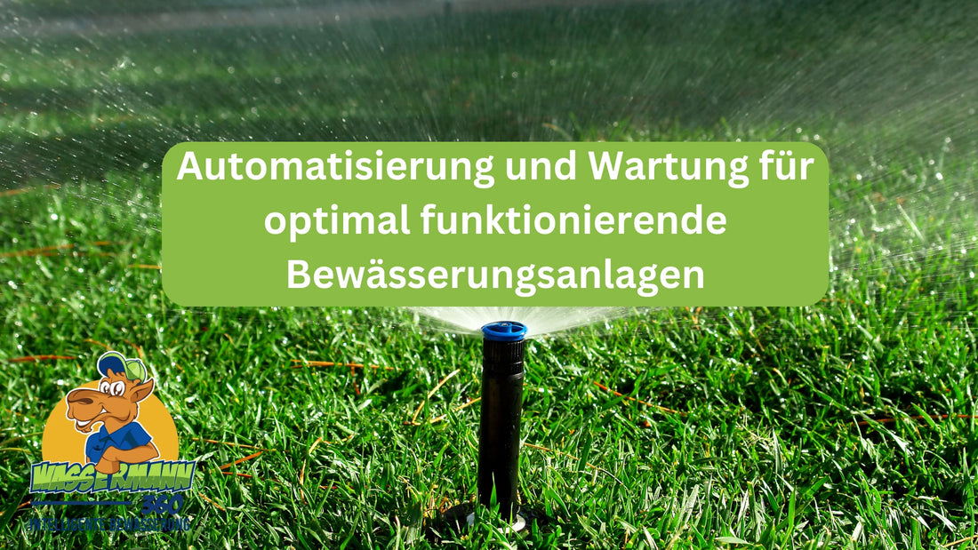 Automatisierung und Wartung für optimal funktionierende Bewässerungsanlagen