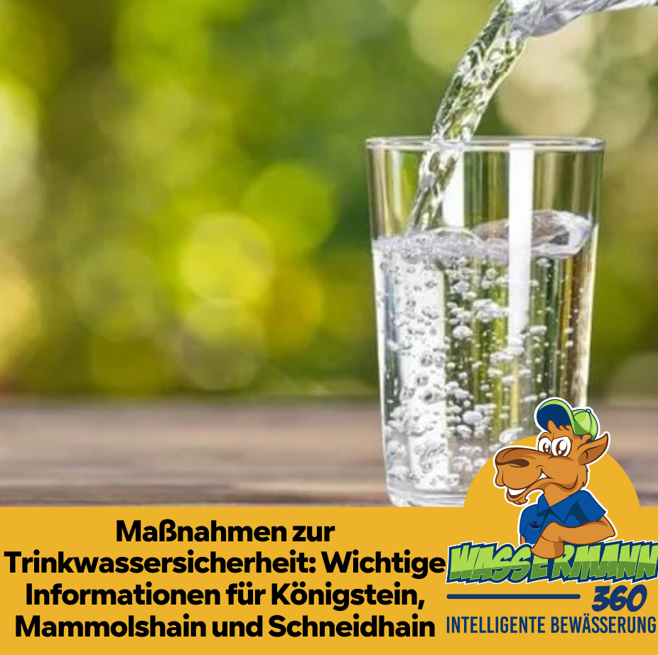 Maßnahmen zur Trinkwassersicherheit: Wichtige Informationen für Königstein, Mammolshain und Schneidhain